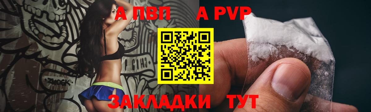 A-PVP СК КРИС Курчалой