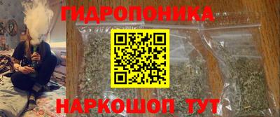 шишки Ирбит