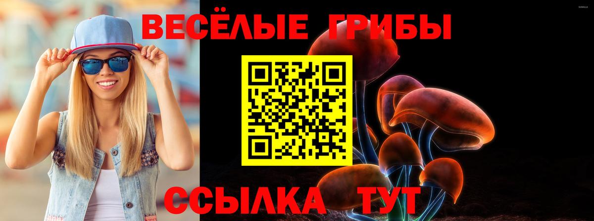 Псилоцибиновые грибы GOLDEN TEACHER Курчалой