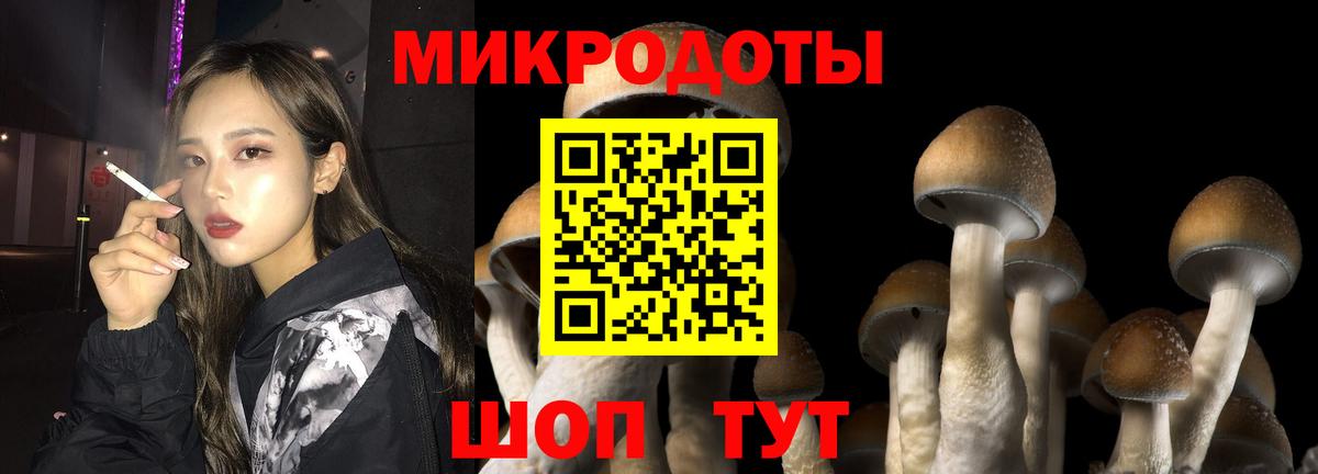 наркошоп  Вход с VPN  Курчалой  Псилоцибиновые грибы прущие грибы  Псилоцибиновые грибы Psilocybe 