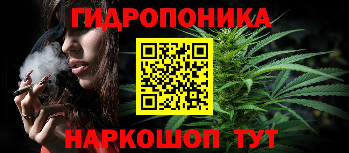 Бошки марихуана LSD WEED  Вход с VPN  Бошки Шишки THC 21%  Бошки марихуана VHQ  Курчалой 