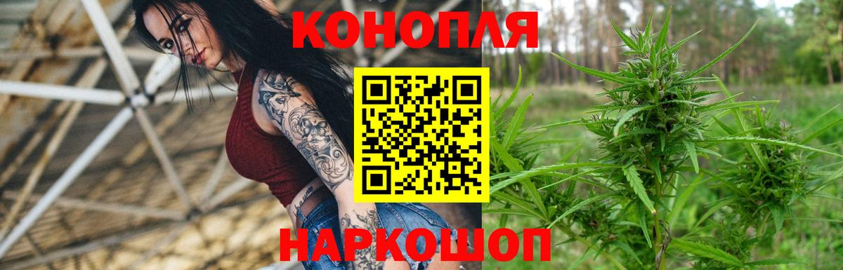 Конопля планчик Курчалой
